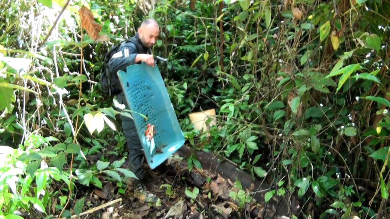 Un elefante de oro misterioso: entre los mineros de Nicaragua y las exportaciones de Costa Rica